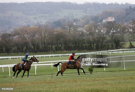 horses running at cheltenham|horses running at cheltenham tomorrow.